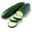 CUCUMBER 1KG