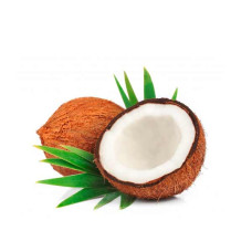 COCONUT - INDIA / PC 