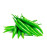GREEN CHILI LONG-KUWAIT-500GM (APPROX)