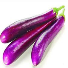 EGGPLANT LONG VIOLET