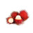 RAMBUTAN