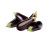 EGGPLANT - KUWAIT - 1KG (APPROX) -