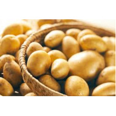 POTATO - EGYPT - 1KG (APPROX)