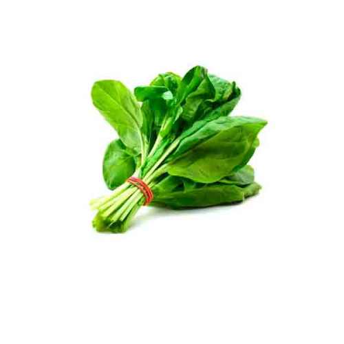 GREEN SPINACH - BUNCH