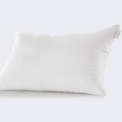 HOMLEE PILLOW 700GM RCH 12481