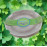 ROYAL GREEN RICE PLATE 4 PC SET 899671