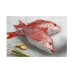 RED SNAPPER MARINATED DOHA KG