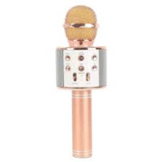 WSTER MIC WITH SPEAKER WS-858