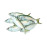 FRESH MACKEREL FISH BIG - 1KG PKT