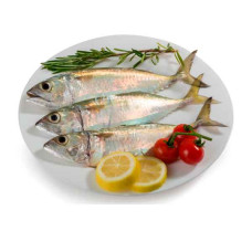 FRESH MACKEREL FISH SMALL - 1KG PKT