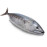 FRESH TUNA FISH SMALL - 1KG PKT