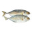 HAMAM FISH 1 KGS