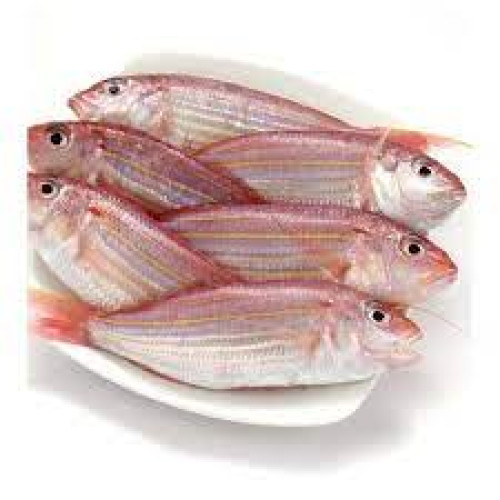 SULTAN SMALL KUWAIT  1 KGS