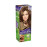 WELLA KOLESTON NATURALS HAIR COLOR KIT BRILLIANT BROWN (5/37) 
