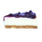 BLUEBERRY CAKE PCS