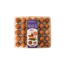 FICO DRACOLA EXTRUDER