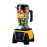 IMPEX SUPER BLENDER 2L JAR 1500W -SB 1500