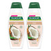 PALMOLIVE VOLUME SHAMPOO COCONUT 2 X 380ML 