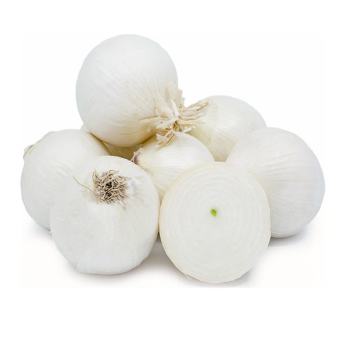 ONION WHITE - SPAIN - 1KG (APPROX)
