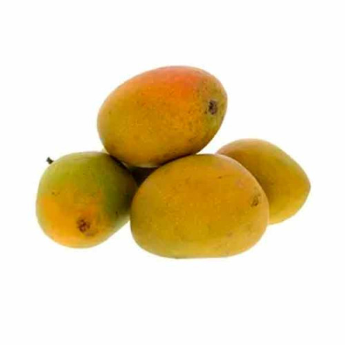MANGO ALPHONSO - INDIA - 1KG (APPROX)
