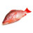 RED SNAPPER FISH