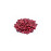 RED KIDNEY BEANS 500GM